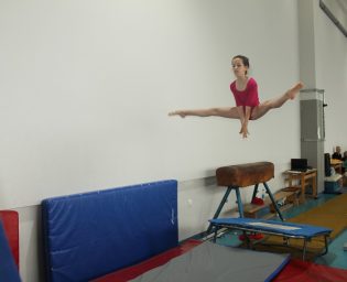 Gimnastika - Drzavno prvenstvo (9)