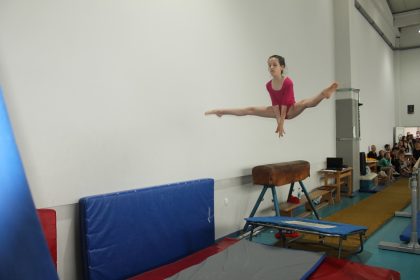 Gimnastika - Drzavno prvenstvo (9)