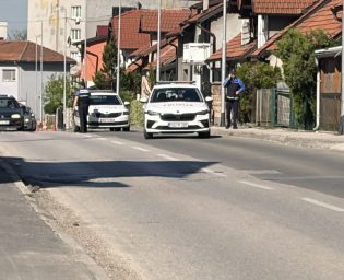 IMG_7964