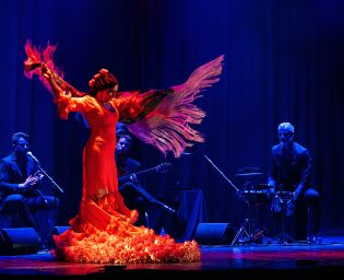 PuertoFlamenco-01
