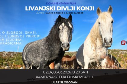 Tuzla_poster_landscape_