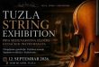 Vizual Tuzla string festival - zadnja verzija 2026