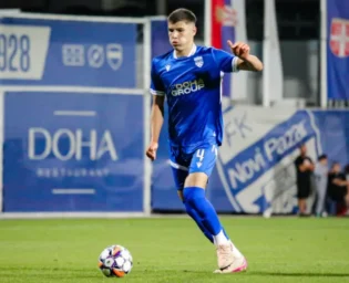 ahmed hadzimujovic