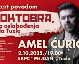 amel curic