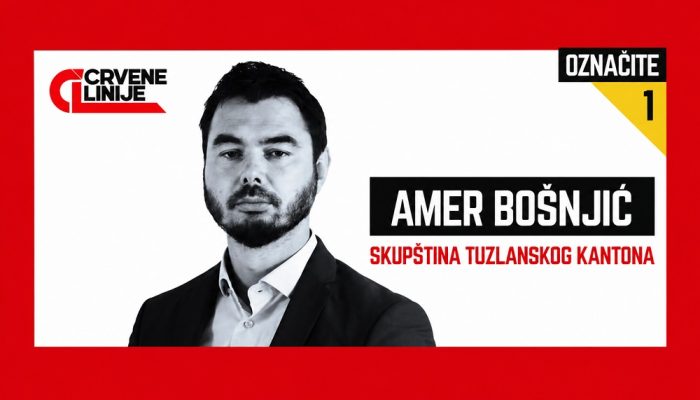 amer_bosnjic_plakat