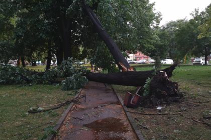 Tuzla / Park Cipelići