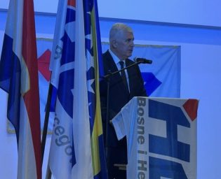 covic_hdz_soli