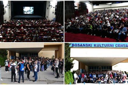 dani_avn_kolaz
