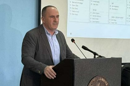 dzevad_hadzic