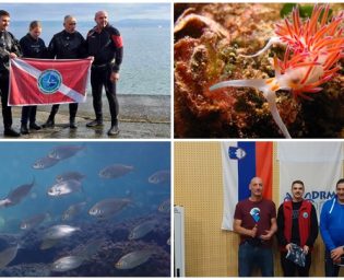 eko ronioci lukavac slovenija