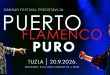 flamenko puro