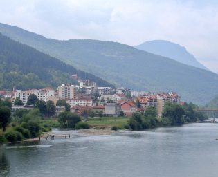 foča