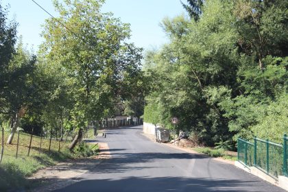 grabovia