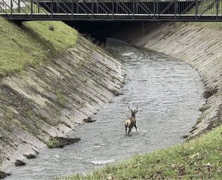 jelen_tuzla