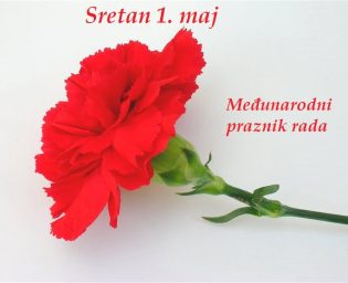 karanfil