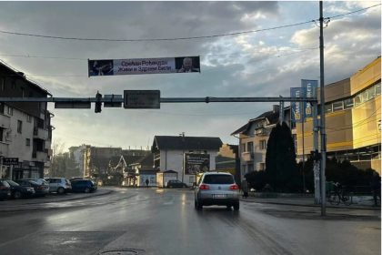mladic_Cestitka