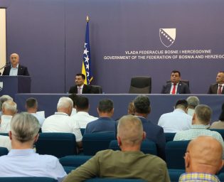 nedzad lokmic