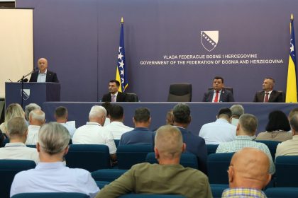 nedzad lokmic