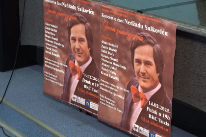 nedzad salkovic