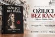 oziljci-bez-rana_plakat