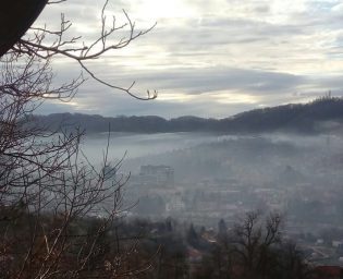 0501 zrak