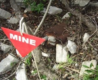 0304 mine