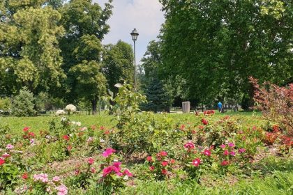 0801 park ljeto