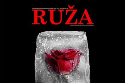 1703 ruza