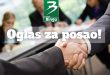 1508 bingo oglas