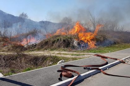 0704 pozar rastinje