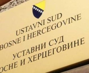 2204 ustavni sud