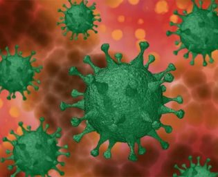 2611 virus