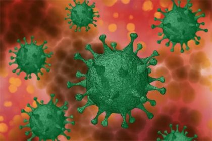 2611 virus