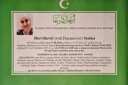 senka dervisevic