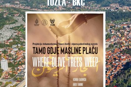 tamo gdje masline placu