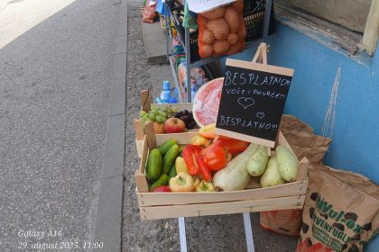 tp emanko voce i povrce