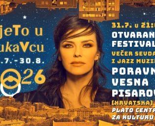 vesna pisarovic