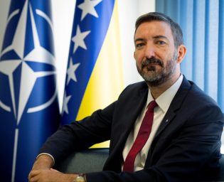 vladimir vucinic