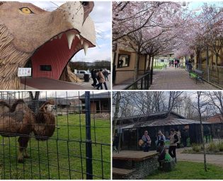 zoo_kolaz